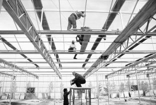 敦煌戈壁添新绿 最大智能化温室开工建设，科技赋能现代农业新篇章